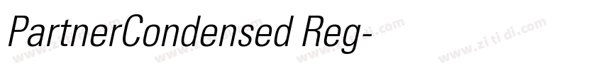 PartnerCondensed Reg字体转换